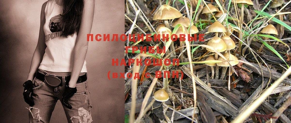 крисы Белоозёрский
