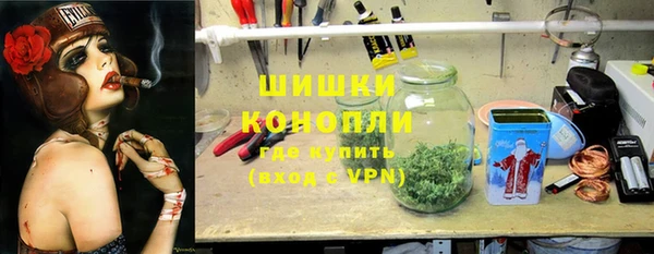 spice Осташков