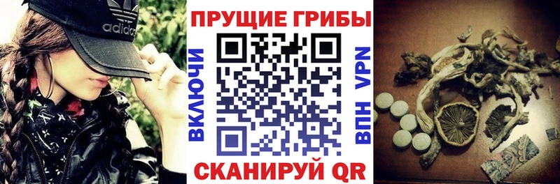 Галлюциногенные грибы MAGIC MUSHROOMS  наркотики  Светогорск 