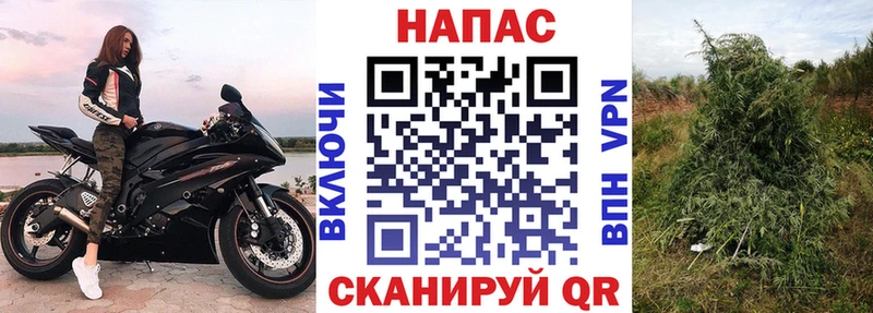 сколько стоит  Светогорск  Шишки марихуана планчик 